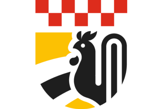 Oławskie Zawody Strzeleckie